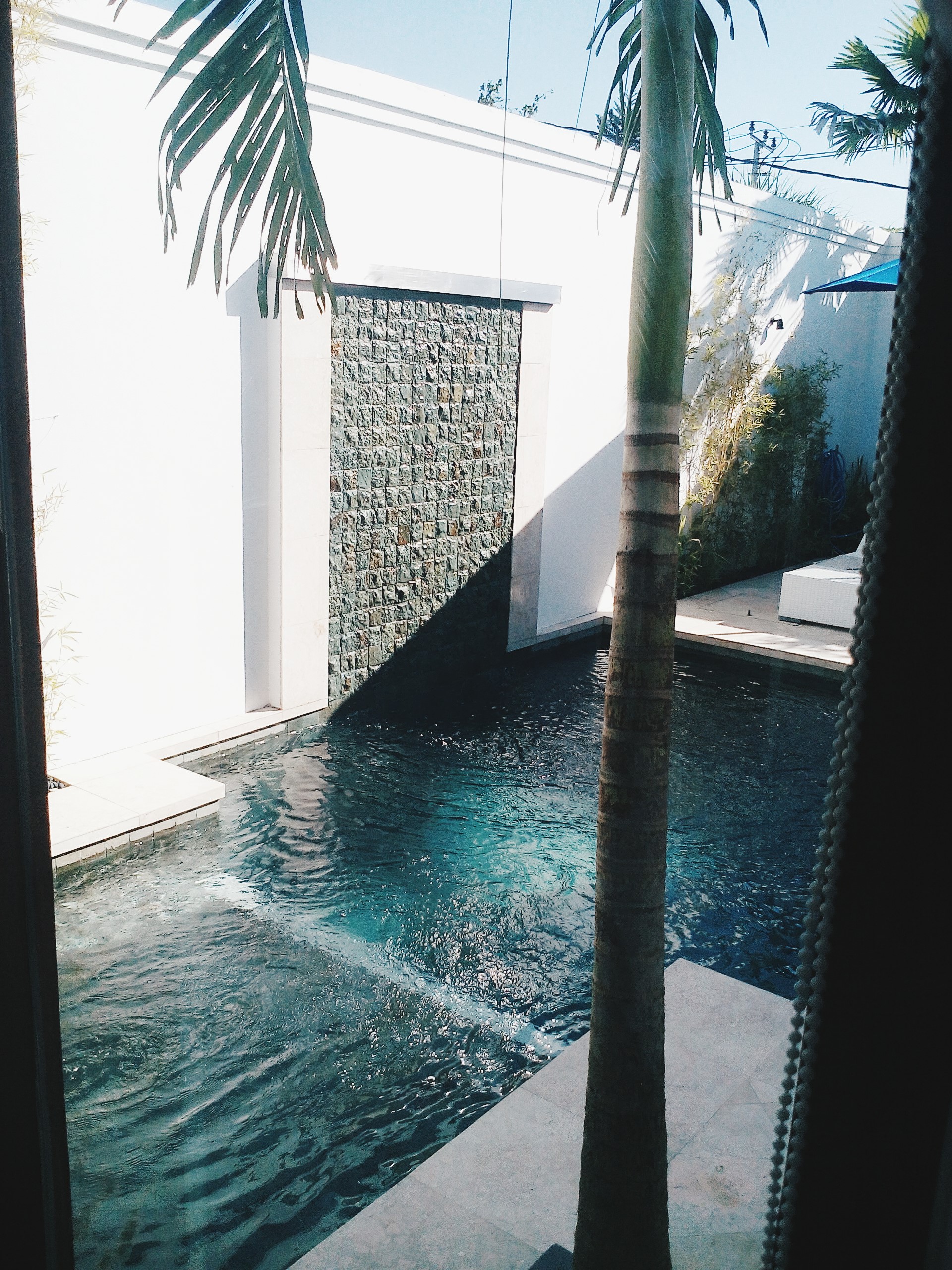 Anyone for a plunge