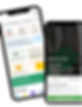 website-creative (2).png