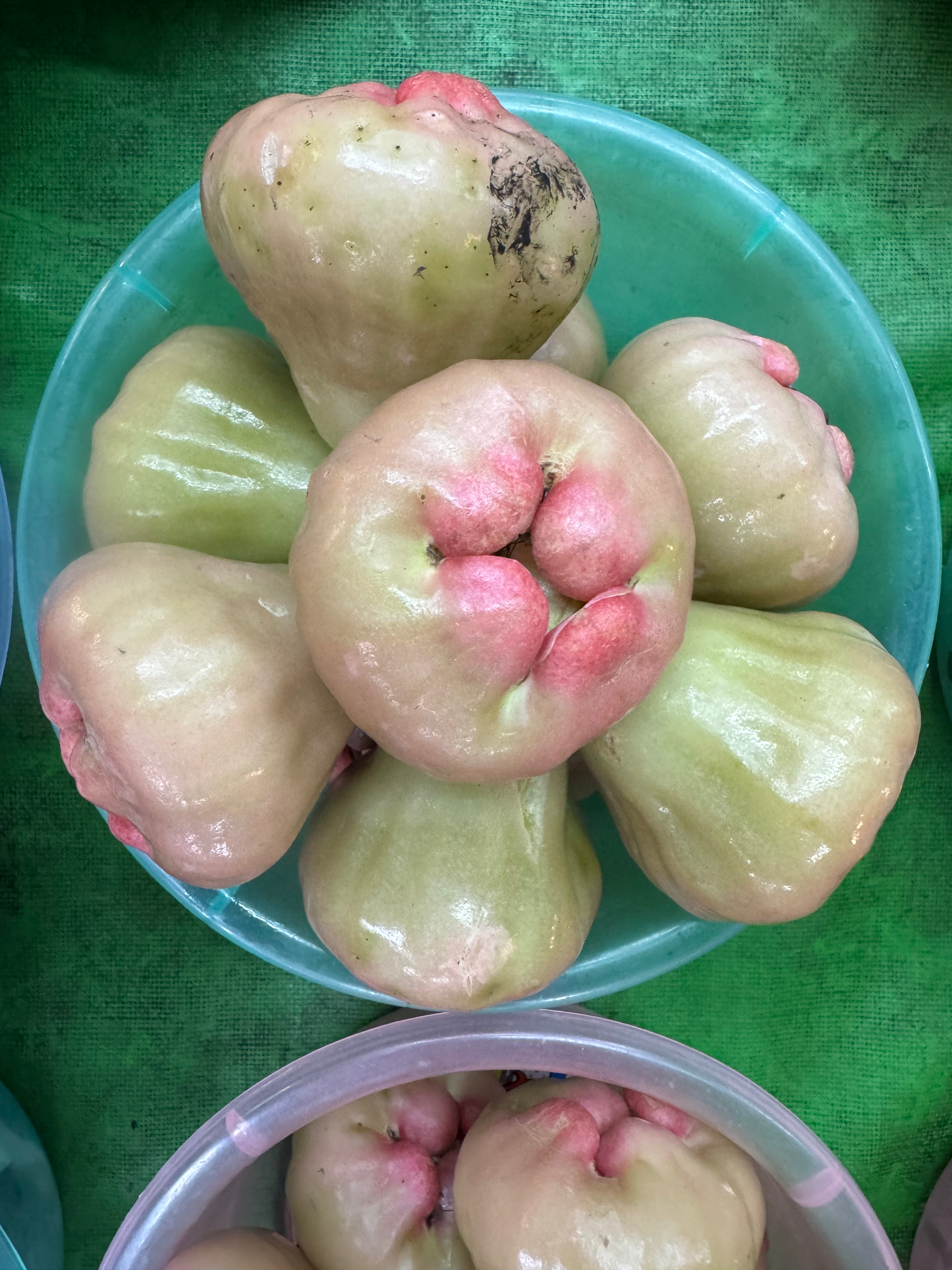 傳統蓮霧約9～10顆