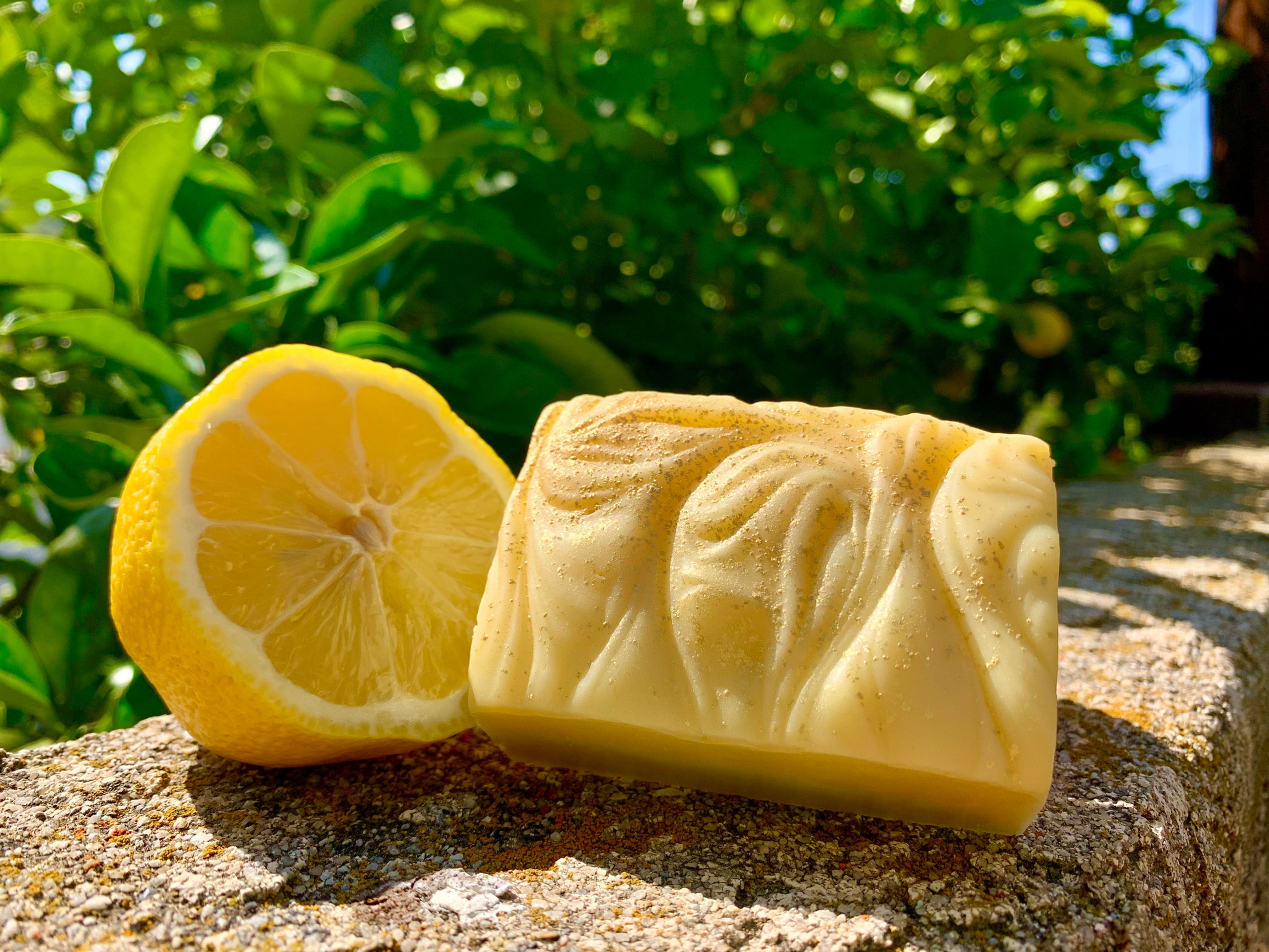 Limoncello Olive Oil Soap