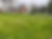 lawn 1.HEIC