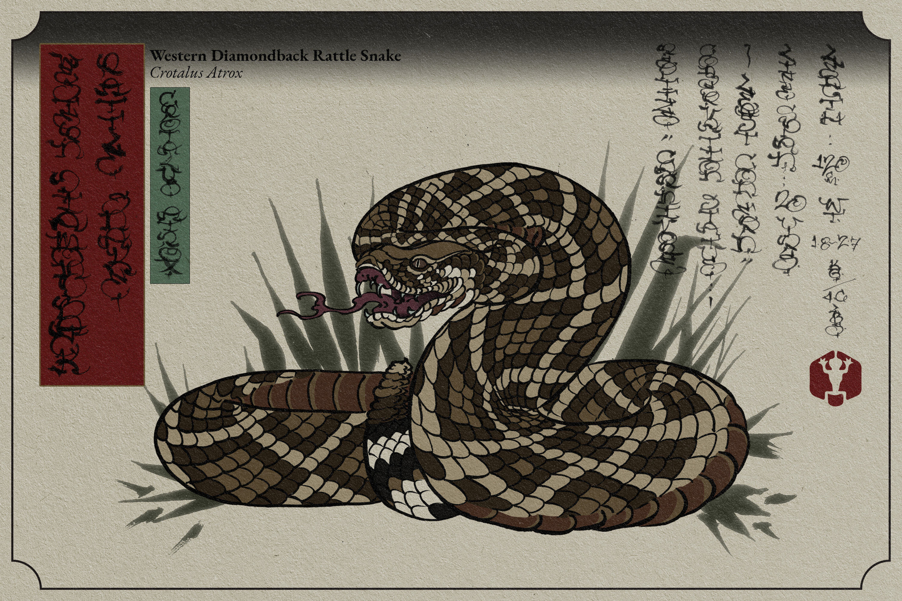 Diamondback (Western Rattlesnake) — Crotalus atrox