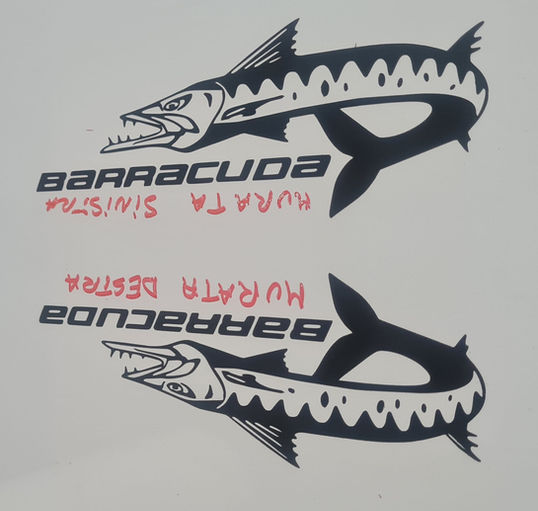 2 Black Barracuda boat, nautical decals, stickers, graphics,