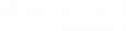 baramundi Logo