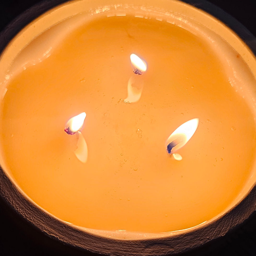 Thumbnail: Triple Wick Insect Repelling Garden Candle with Geranium & Peppermint