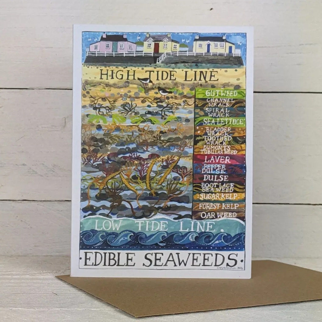 Edible Seaweeds Greetings Card by Lizzie Spikes
