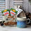 Thumbnail: Penrhiw Pottery Tea For One Gift Set