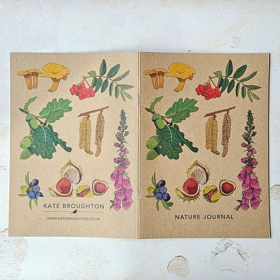 Thumbnail: 'Nature Journal' A5 Recycled Notebook & Recycled Paper Pen Set