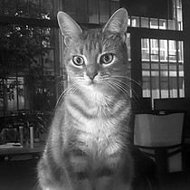 IMG_4534_edited.jpg