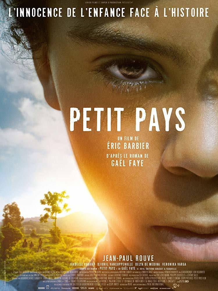 Adaptation cinématographique des romans africains : Pourquoi les francophones sont-ils à la traîne. 