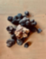 Truffle Treasure!