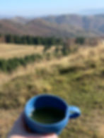 A glass of fresh elderflower juice