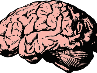 Promising New Study for Treating Tinnitus