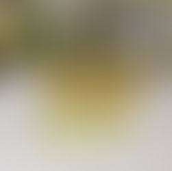 Corfu Day 3 - 09-06-24: We’ve been Coop’d!