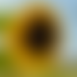 Canada: 06-09-25 - Day 2 - All things bright and beautiful….well, not quite!