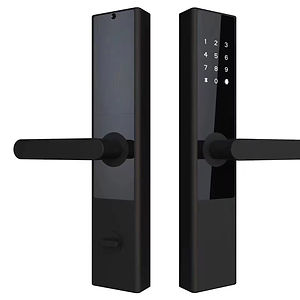 Smart Door