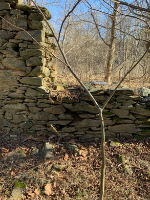 Inside the opening before masonry restoration. Inside of custom-matched lime mortar