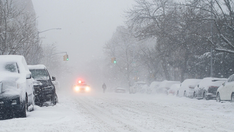 맨해튼 워싱턴 스퀘어 파크서, NYPD에 눈 투척 공격