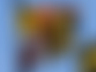 [영읽남] 트럼프 대통령, 하수관 파손두고 무어 주지사와 또다시 격돌 