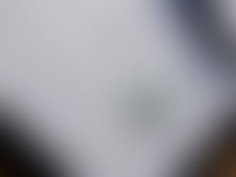 은행서 가짜 수표로 현금 인출한 VA 30대 여성 체포