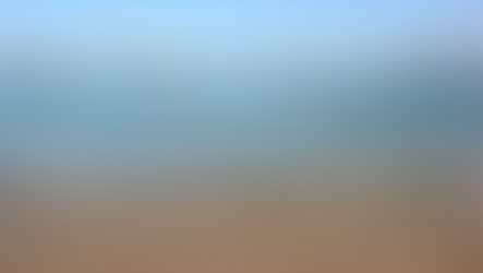 야생 조류 1,100 마리 이상 떼죽음 및 병들어, 뉴저지 당국은 조류 독감 의심