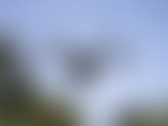 VA, ‘남의 집 몰래 엿보는’ 현행범 드론 활용해 체포