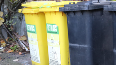 뉴욕시 위생국장에 그레고리 앤더슨(Gregory Anderson) 임명