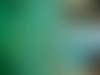 뉴욕·뉴저지 독감 급증, 병원 마스크 의무화