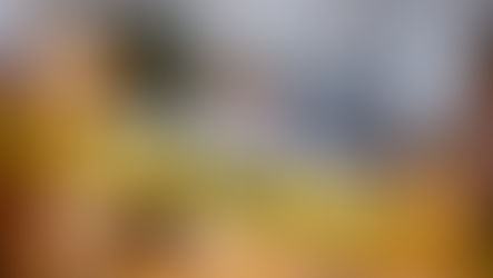 VA 우드브리지 주택서 일가족 4명 사망