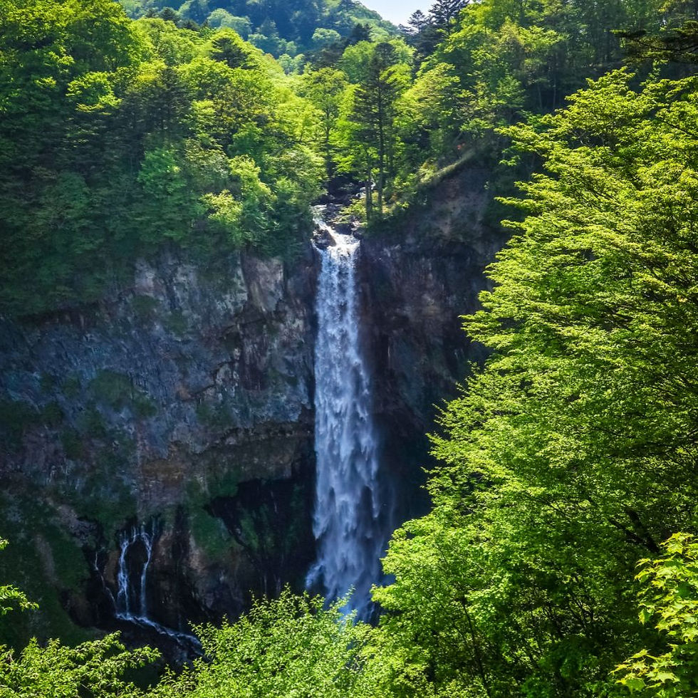 5 Best Summer Day Trips from Tokyo to Escape the Heat [2025 Edition]