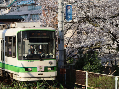 What’s the Most Nostalgic Ride in Tokyo? A Must-See Route for Sakura and Rose Lovers