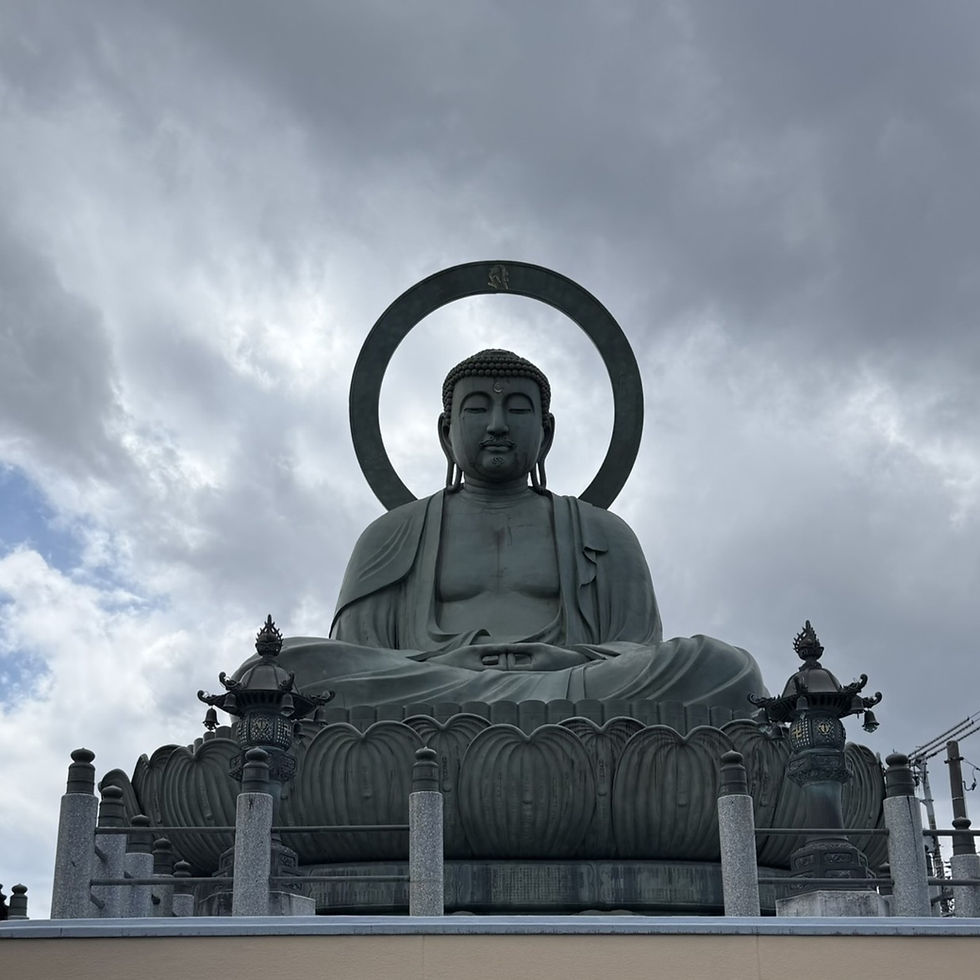 Zazen and Buddha: Beyond Meditation, A Complete Guide to Enlightenment in Japan