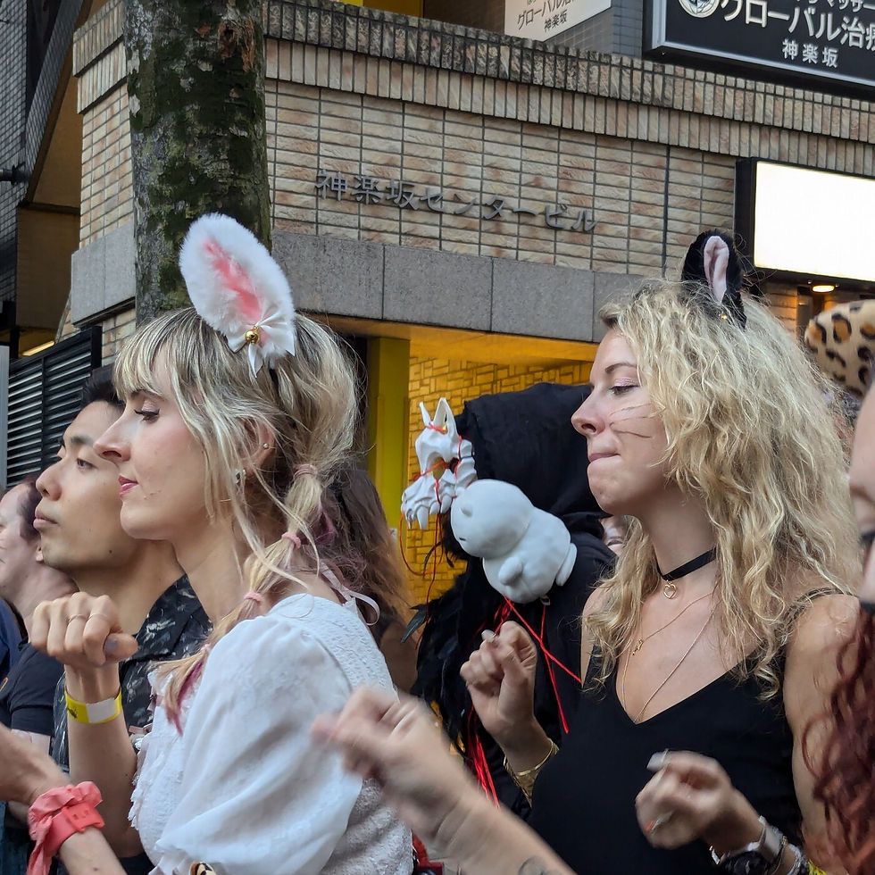 Just 3 Months Away! Why is the Bakeneko Festival the Ultimate "Cat Halloween" in Tokyo?