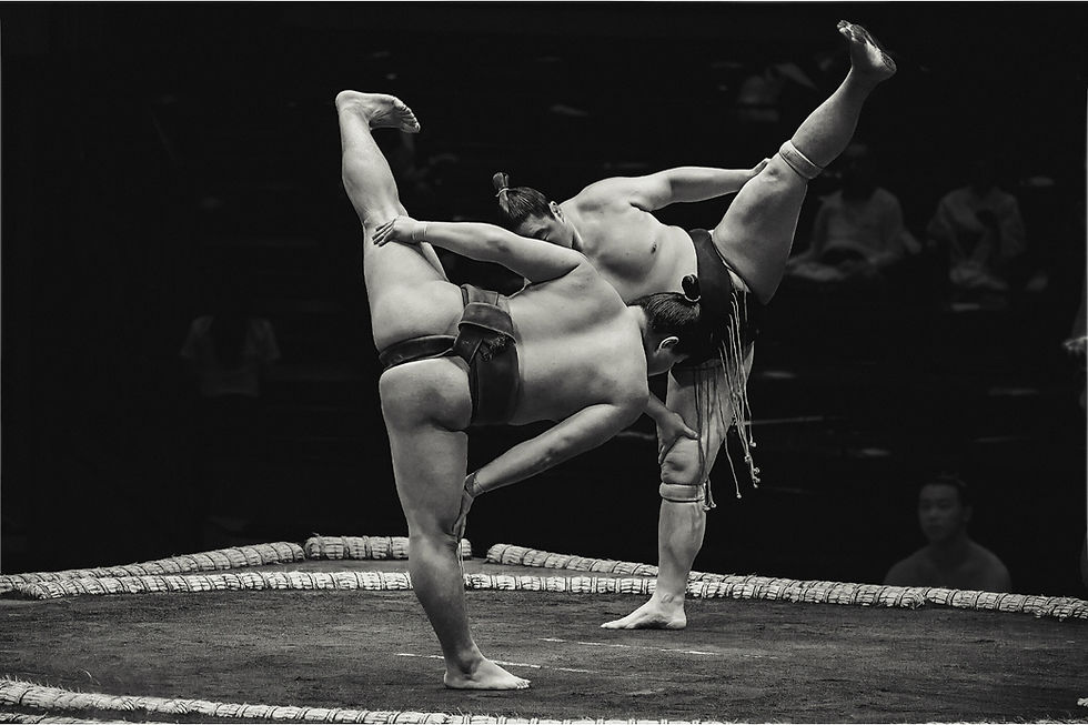 sumo.jpg