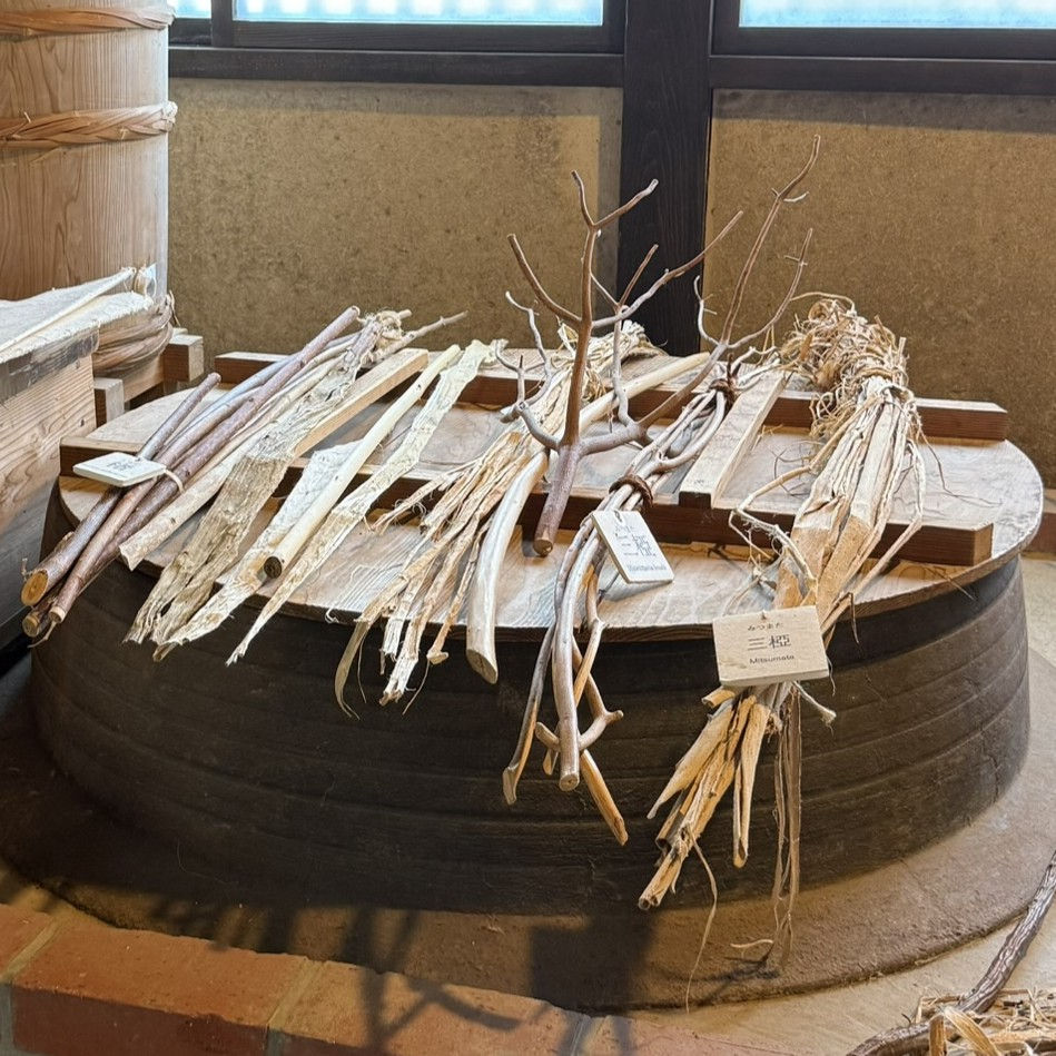 Boiling kozo (mulberry), mitsumata, and gampi