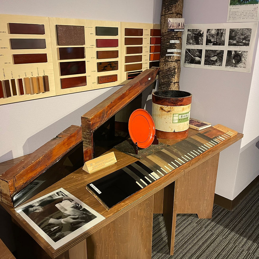 Miniatura: Kigumi Museum+Kagurazaka Walk