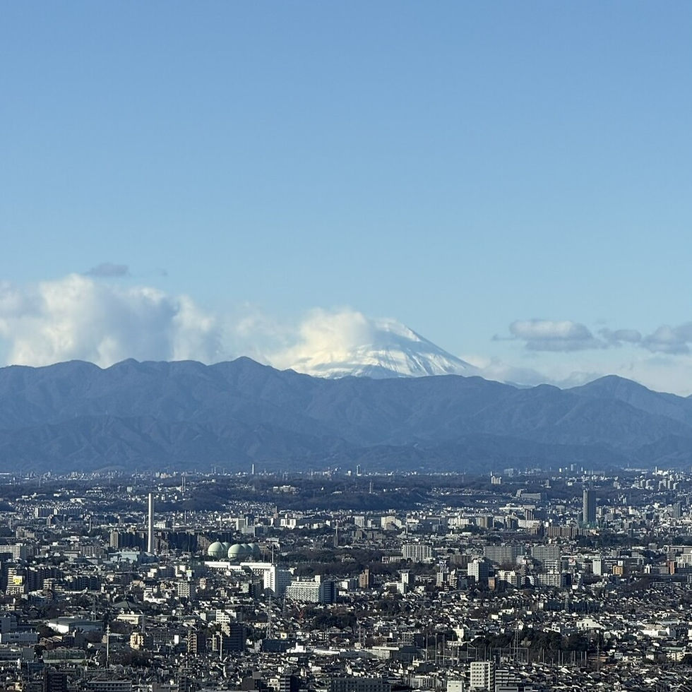 Tokyo in January 2026: The Journey That Best Reveals Japan’s Living Traditions — Weather, Crowds, and Culture