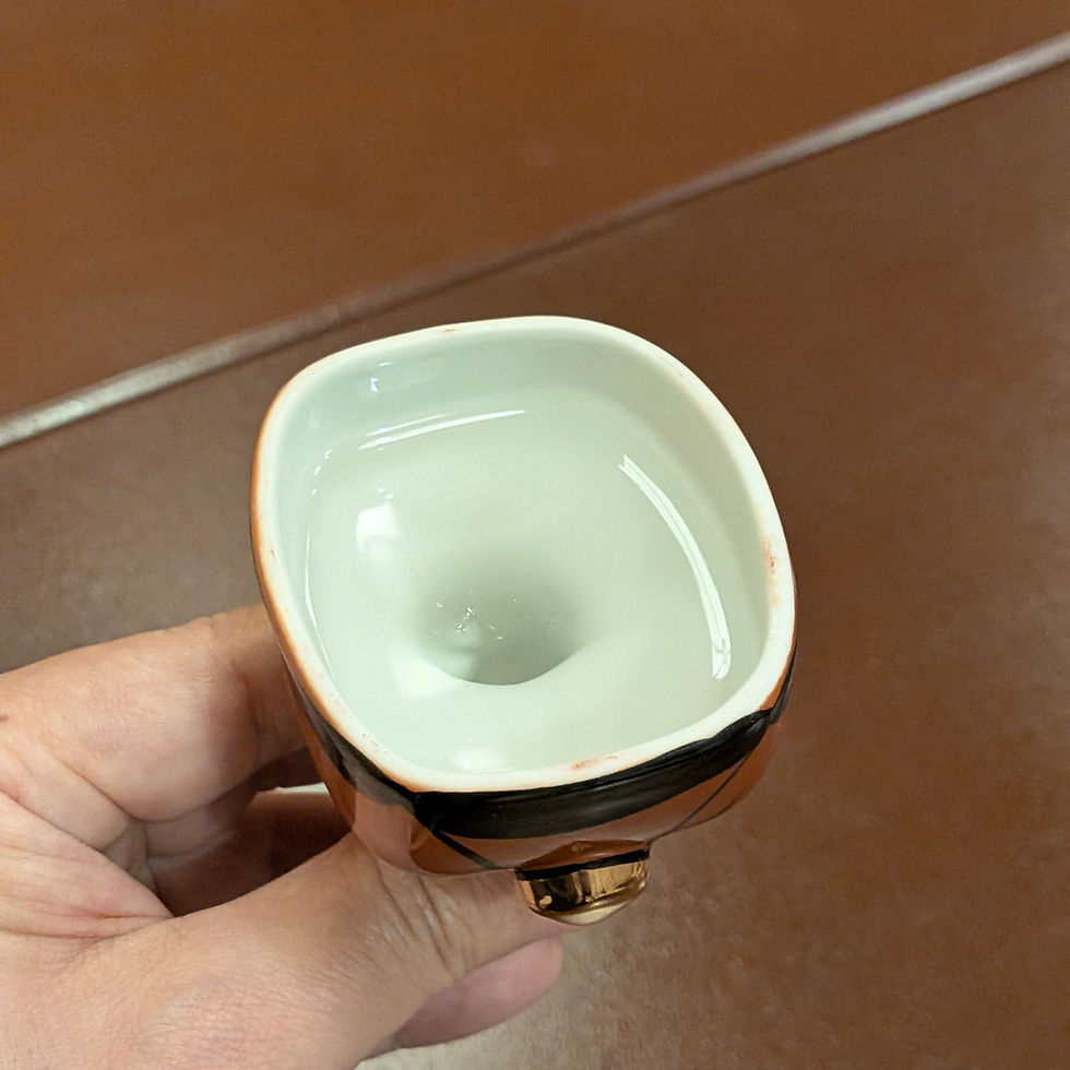 Ozashiki Asobi Geisha Tokyo Kagurazaka