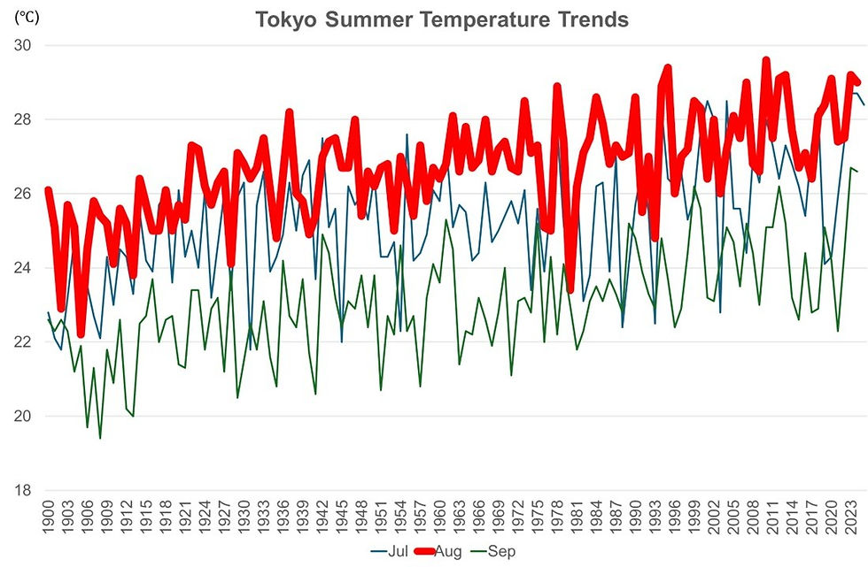 Ultimate Solution: What to Do in Tokyo When It's Hot (Plus a Special 2025 Summer Gift)