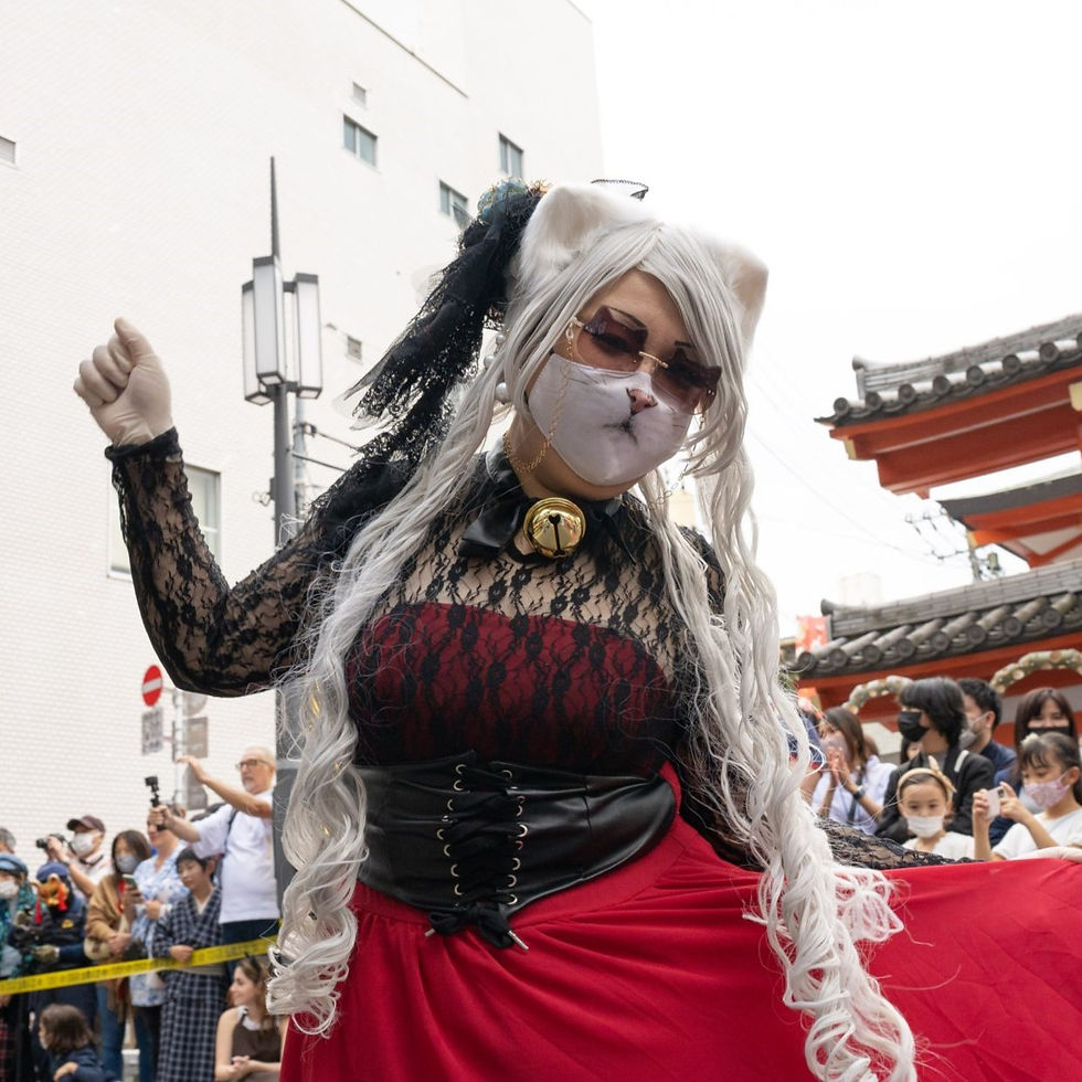 I Am a Cat: Kagurazaka Machitobi Festa 2024 Recommended Event #3 - Kagurazaka Bakeneko Festival in Tokyo