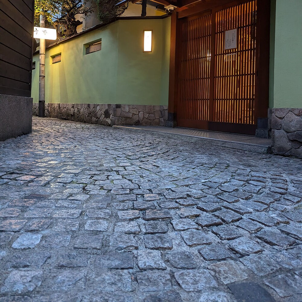 Ozashiki Asobi Geisha Tokyo Kagurazaka