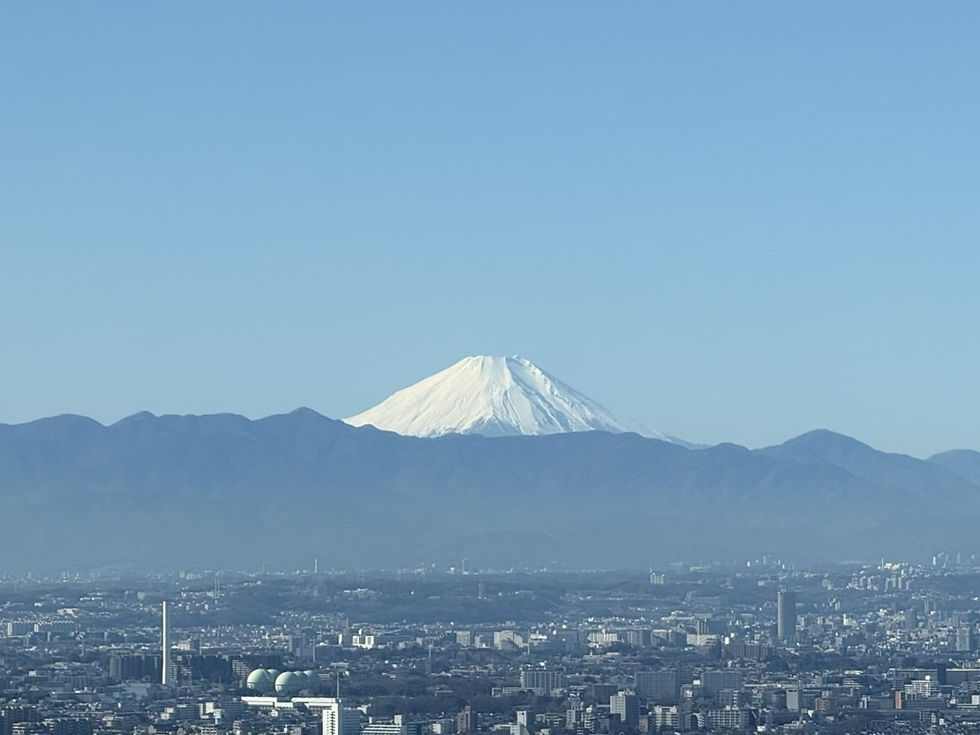 Elevating Authentic Cultural Experiences in Tokyo through Multilingual Guides and the “Kagurazaka + One” Tours