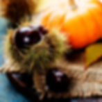 Do You Know the Japanese Autumn Taste "Imo Kuri Nankin"? Discover an Autumn Dessert with Samurai-Era Origins in Tokyo’s Kagurazaka