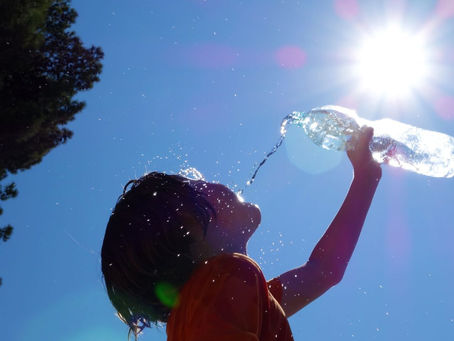 The "Shosho" Period, When the Heat Begins to Subside, Starts on August 22nd. Do you know 24 sekki (Solar Terms) and 72 kō (Micro-seasons)?