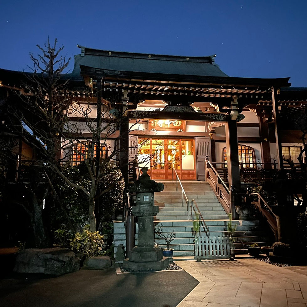 Zazen and Buddha: Beyond Meditation, A Complete Guide to Enlightenment in Japan