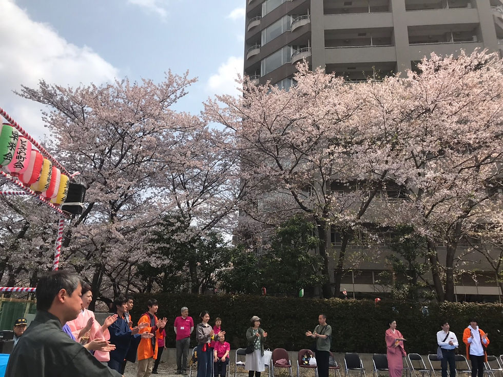 Enjoy Tokyo's Best Hidden Cherry Blossom Spot! "Waseda Sakura Festival" on March 30