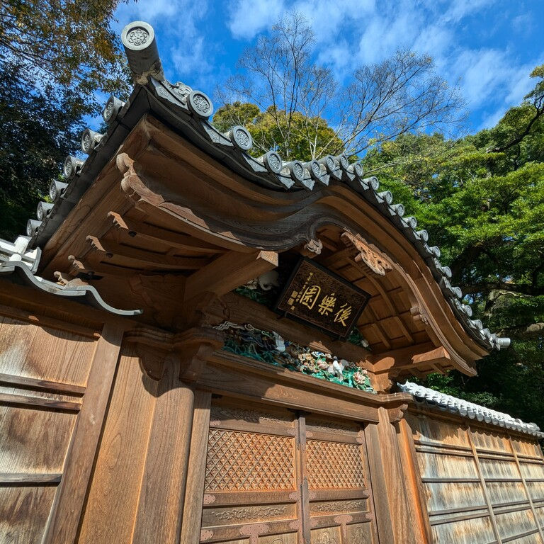 Autumn Colors Begin in Tokyo: Koishikawa Korakuen Garden to Reach Peak Autumn Colors in About 10 Days – Fall Foliage Event Begins on the 16th Nov