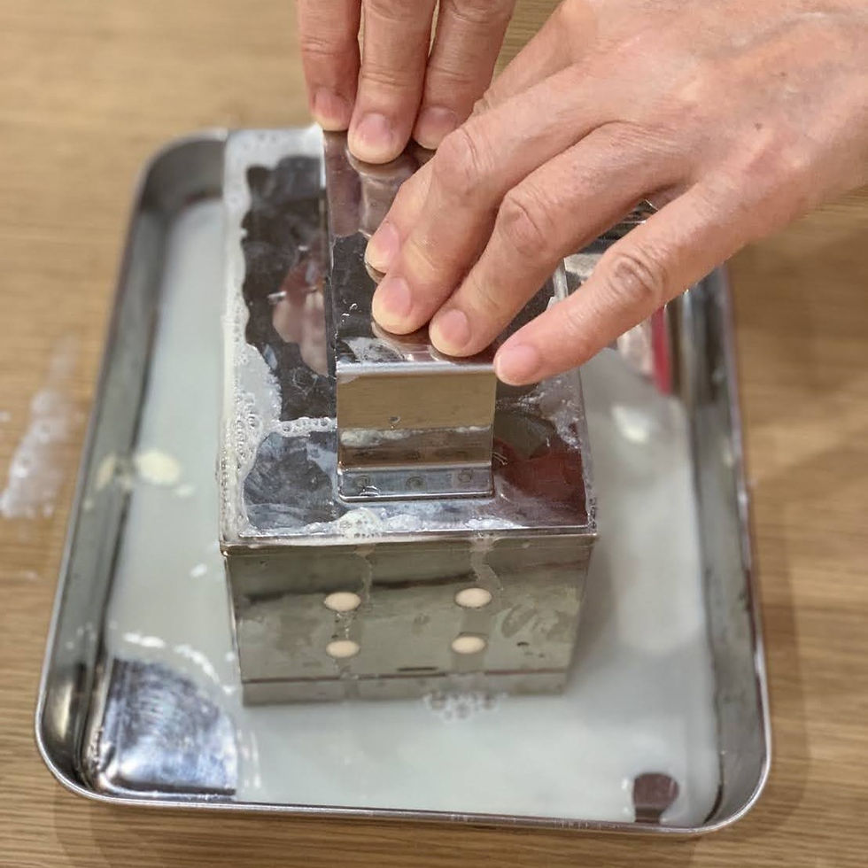 How to Make Homemade Tofu from a Tofu Meister