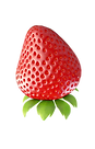 Strawberry_edited_edited_edited.png
