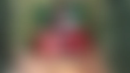 Decoração de Natal da Casa do Papai Noel no bairro Granja Marileusa em Uberlândia.